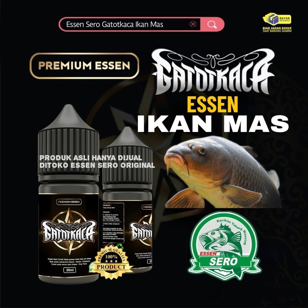 Essen Ikan Mas Indukan/Babon dan Ikan Rame/Essen Gatotkaca Spesial Ikan Mas/Essen Jahat Lomba