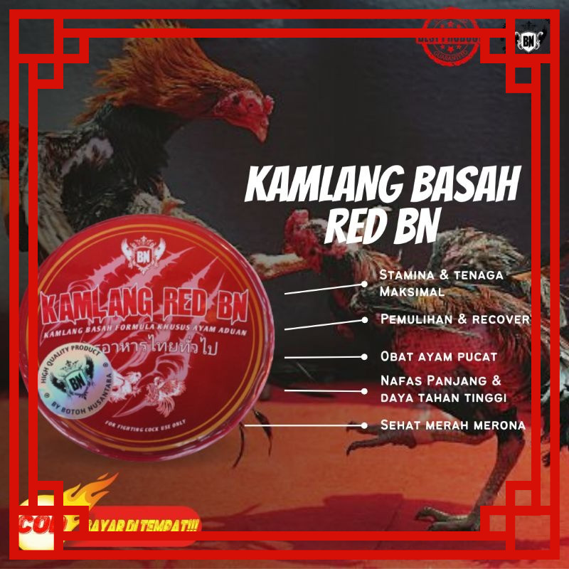 PROMO KAMLANG BASAH ayam aduan RED BN ayam siap tarung adu bagus untuk pemulihan obat luka dalam sak