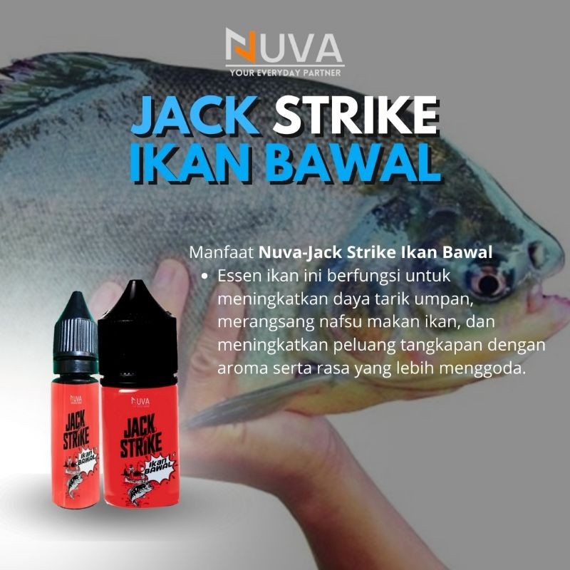 NUVA - Jack Strike Bawal Essen Mancing Bawal Umpan Mancing