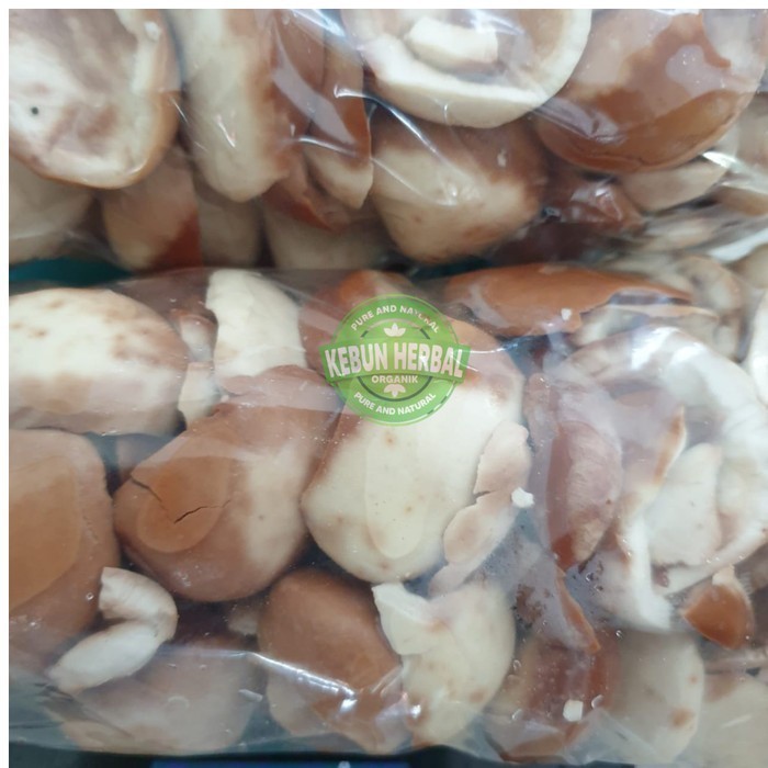 SAYURAN SEGAR BUAH PICUNG MUDA / PICUNG NGORA SIAP MASAK