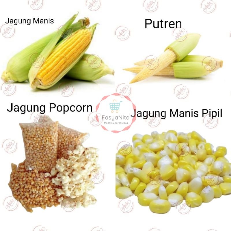 Jagung Manis Putren Baby Corn Pipil Popcorn  Bakar Barbeque sayur sop Denpasar