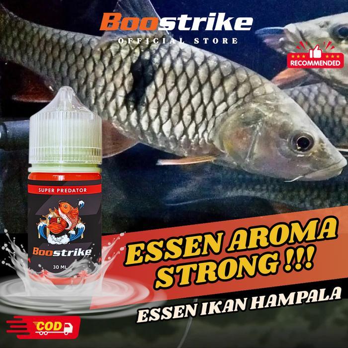 Essen Umpan Mancing Ikan Hampala Berkualitas
