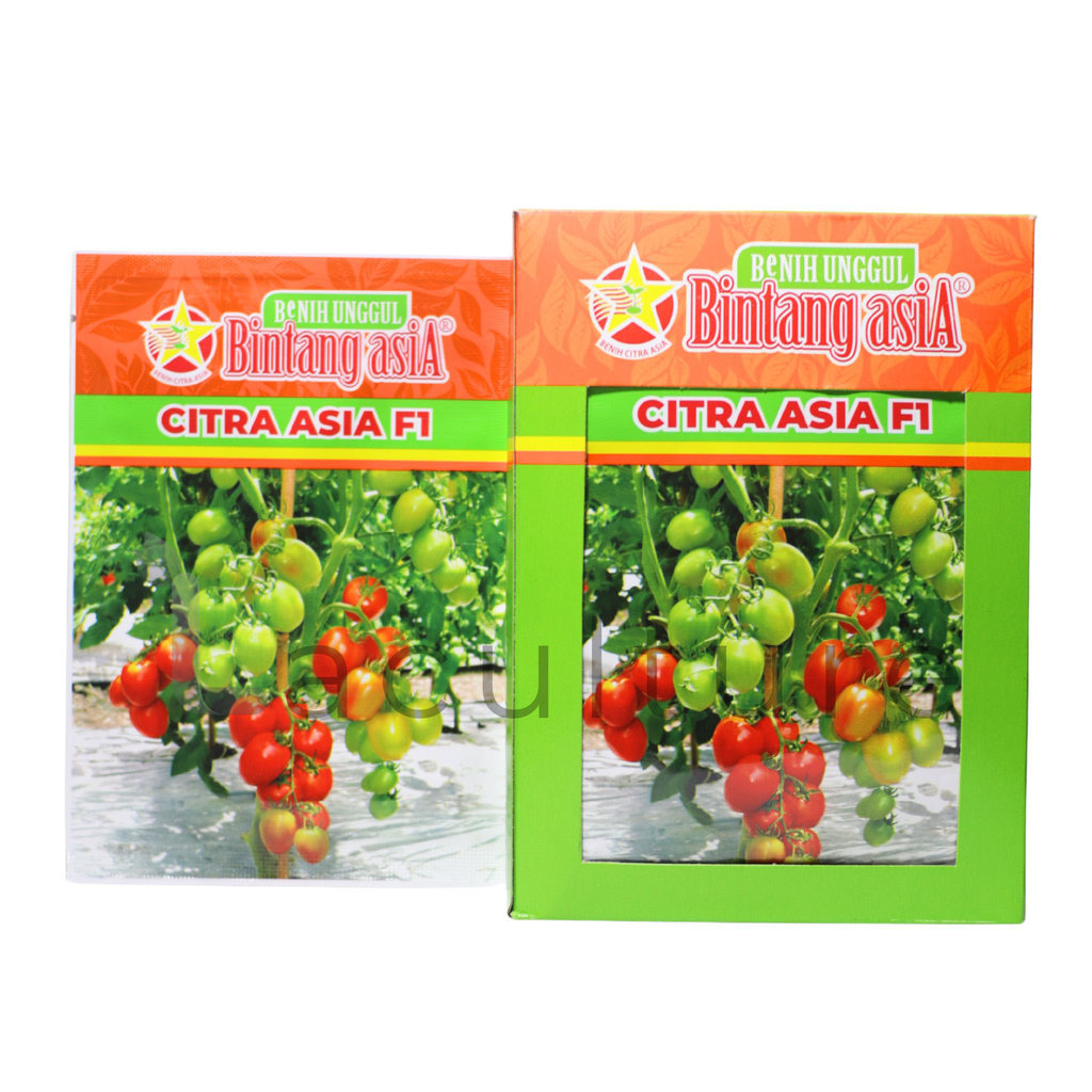 Benih Tomat Citra Asia F1 5 Gram Benih Bintang Asia