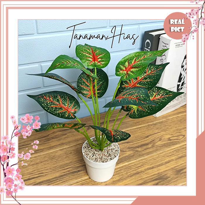 UNICO Pot Bunga Daun Keladi Plastik Tanaman Hias Artificial Daun Talas Kering Dekorasi Rumah PBP09 D