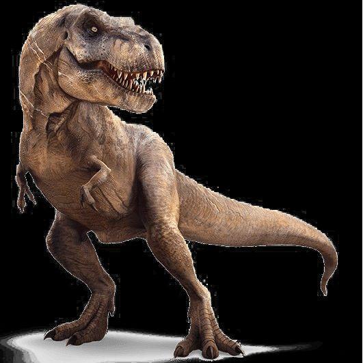 Stiker 3d Dinosaurus size 20x30 T-Rex