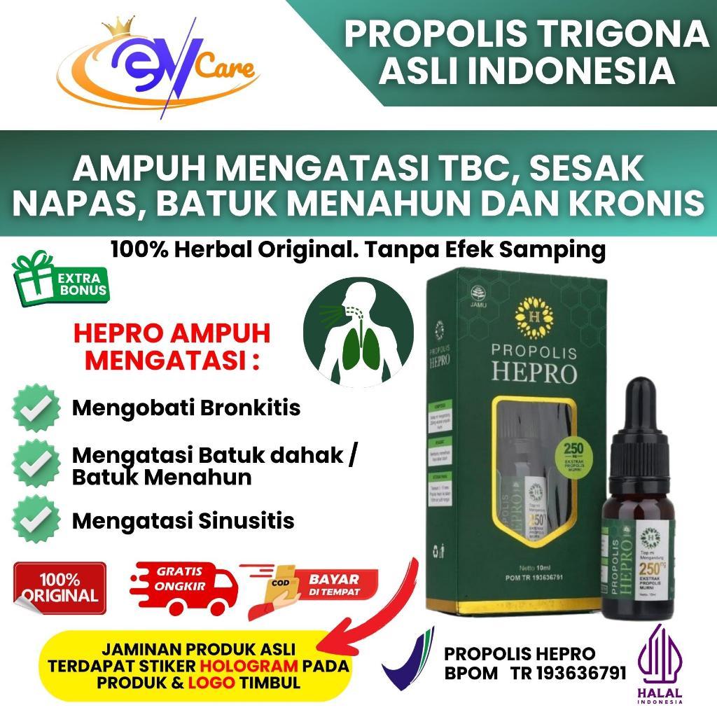 Propolis Hepro 10 ml Propolis Trigona Hepro BPOM