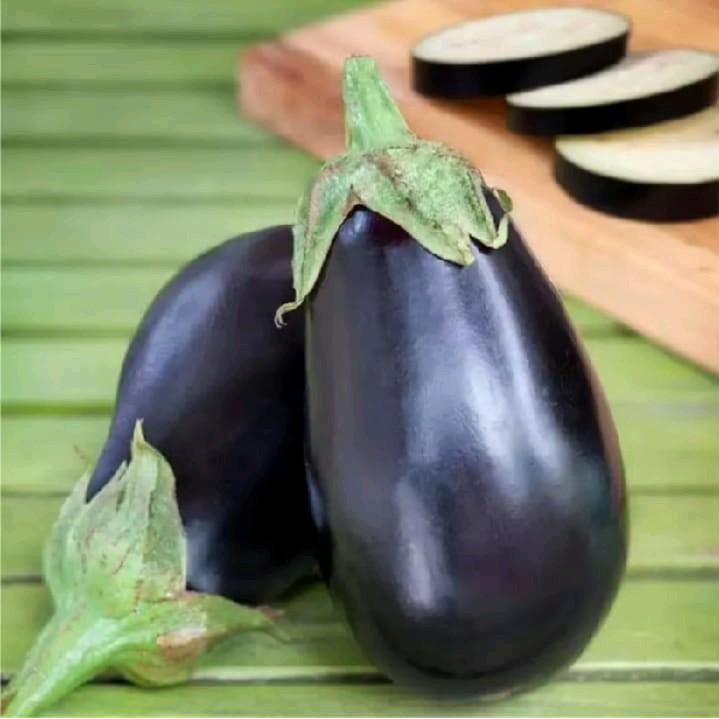 300 biji benih Terong Pondoh Ungu Besar Benih Terong Bulat Ungu Gelap Rasa Manis Tekstur Lembut Tole