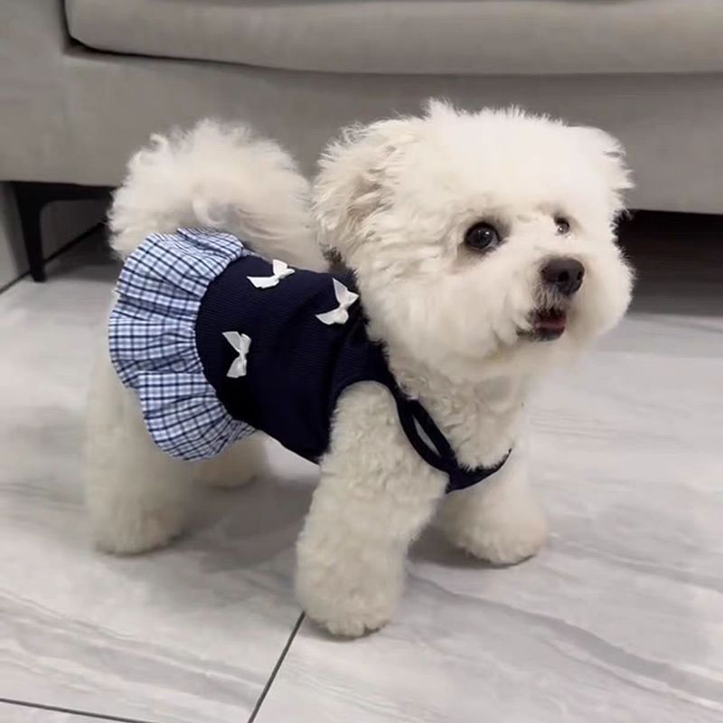 [Lemari Pakaian Hewan Peliharaan] Baju Anjing Rok Rompi Anti Tumpah Kucing Anak Anjing Kecil Teddy B