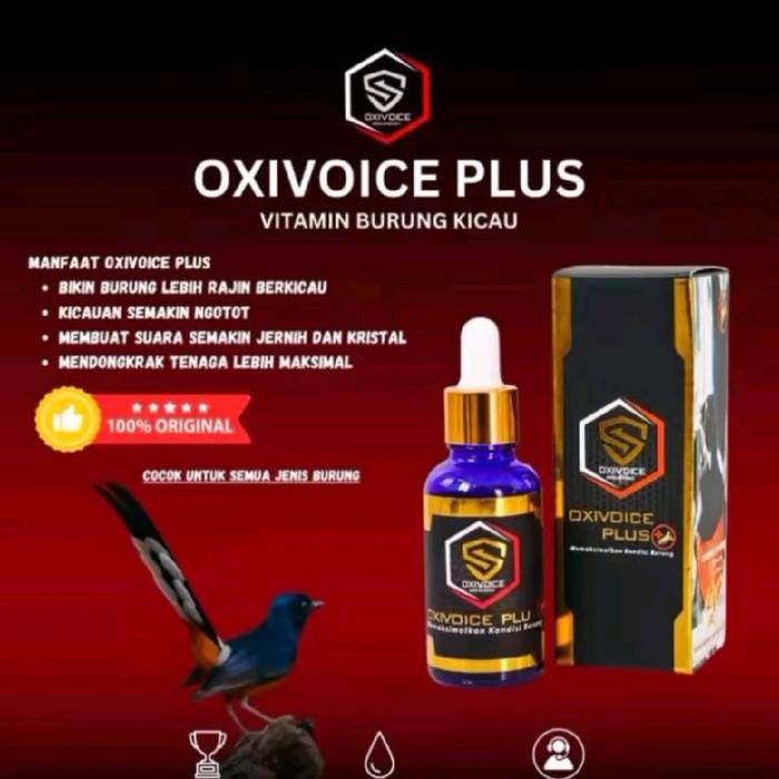 (Mitra ID.Store) Oxivoice Plus vitamin burung murai batu untuk harian dan lomba