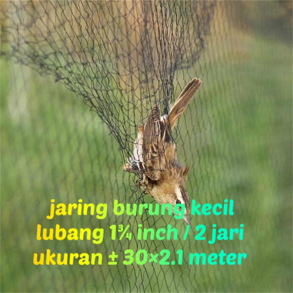 jaring burung kecil lubang 2 jari / 1¾ inch jaring hitam ukuran ± 30 meter