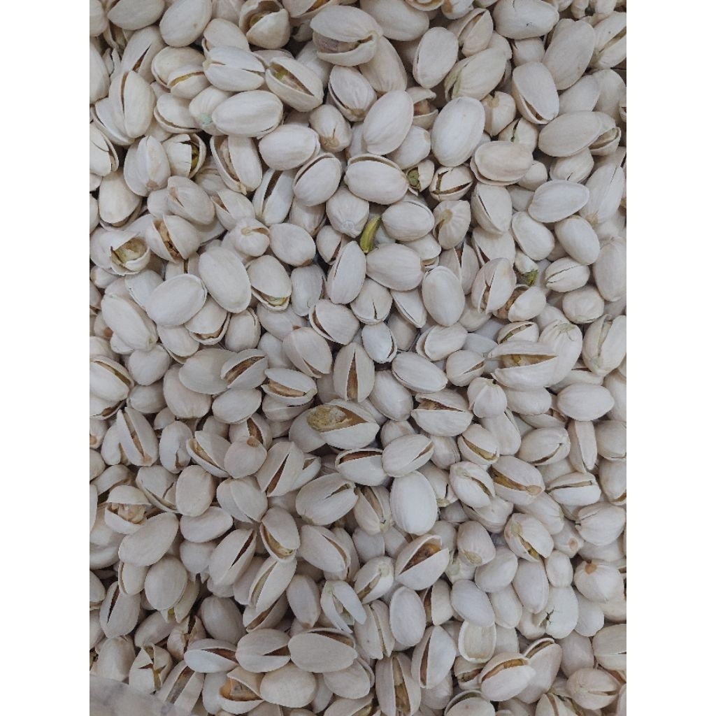 Readykacang pistachio cangkang panggang roasted salted pistachio