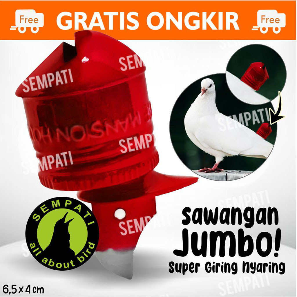 SEMPATI SAWANGAN JUMBO MANSION SAWANGAN MERPATI HATONG HOTANG PLUIT PELUIT SEMPRITAN LATIH BURUNG ME