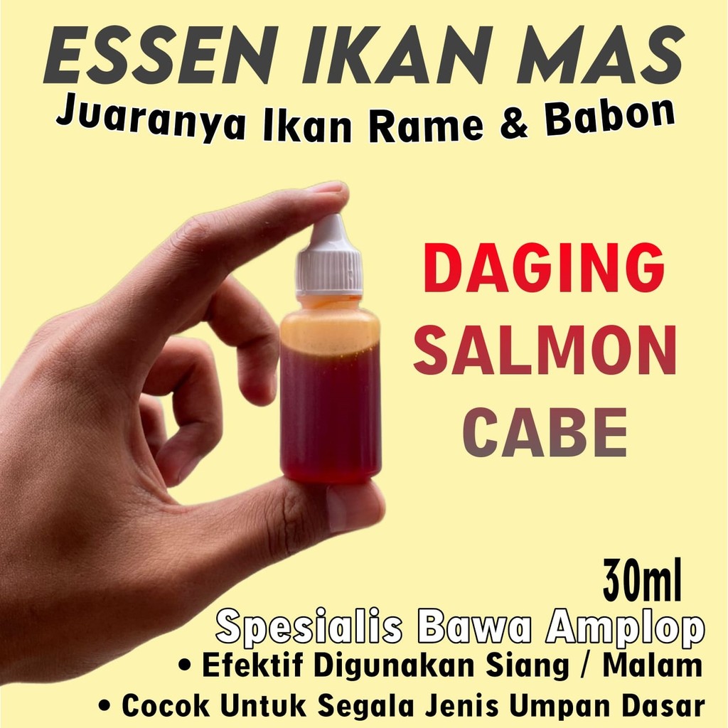 Essen Oplosan Ikan Mas Daging Salmon Cabe Asli Pasti Gacor, Essen Ikan Mas Paling Bagus Segala Umpan