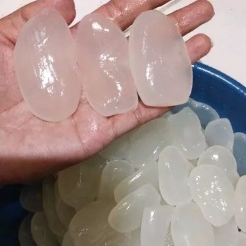 Kolang Kaling Mentah Super 1kg