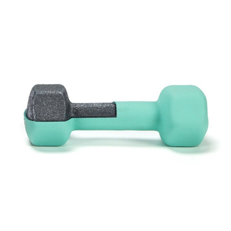 Hot Selling Fitness Dumbbell Set Color Dumbbell Set  Coated Women'S Dumbbell Set