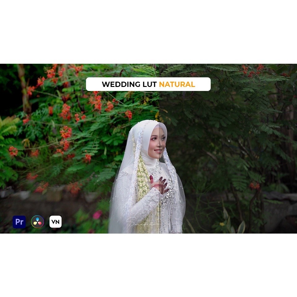 Wedding LUT Natural  untuk Adobe Premiere Pro VN dan Davinci Resolve | Android iOS PC