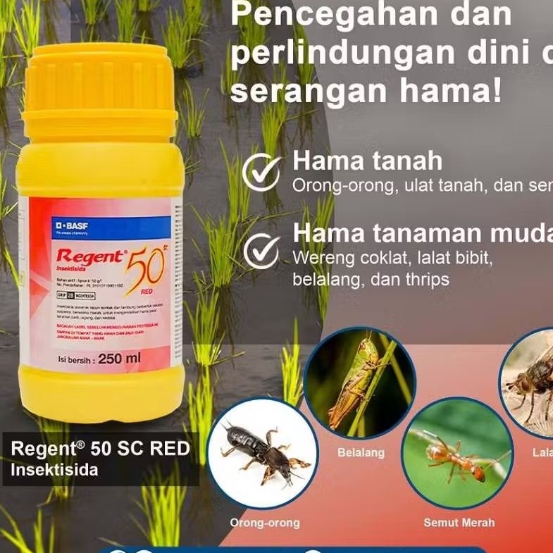 Pembasmi rayap ulat obat semut Regent 50 SC