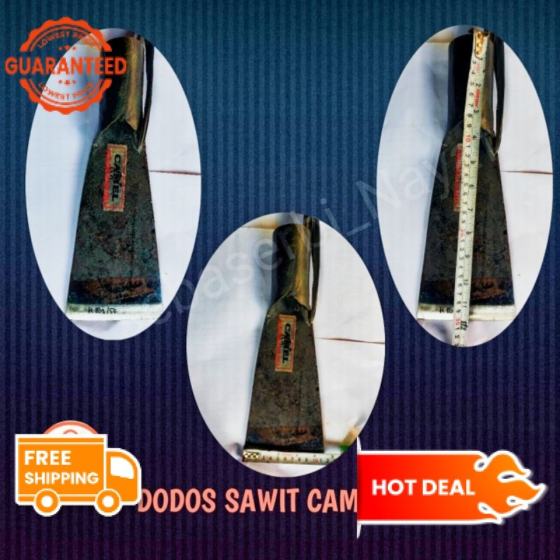 Dodos camel / dodos sawit