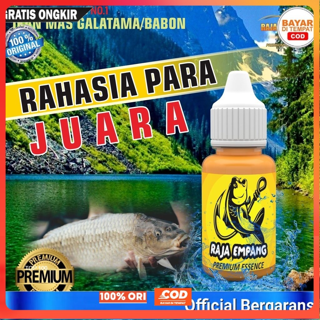 RAJA EMPANG - Essen Ikan Mas Esen Lomba Mancing Super Galak Oplosan Babon Rame Galatama Paling Bagus