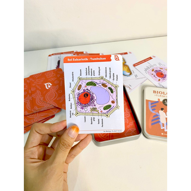 TERLARIS Biology Flashcards Premium Edition by biology student notes