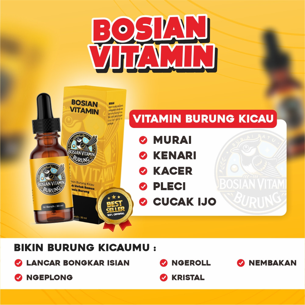 TergacorBosian Vitamin Burung - Bongkar Isian Kenari Murai Batu | Membantu Ngeplong Ngeroll Ngeriwik