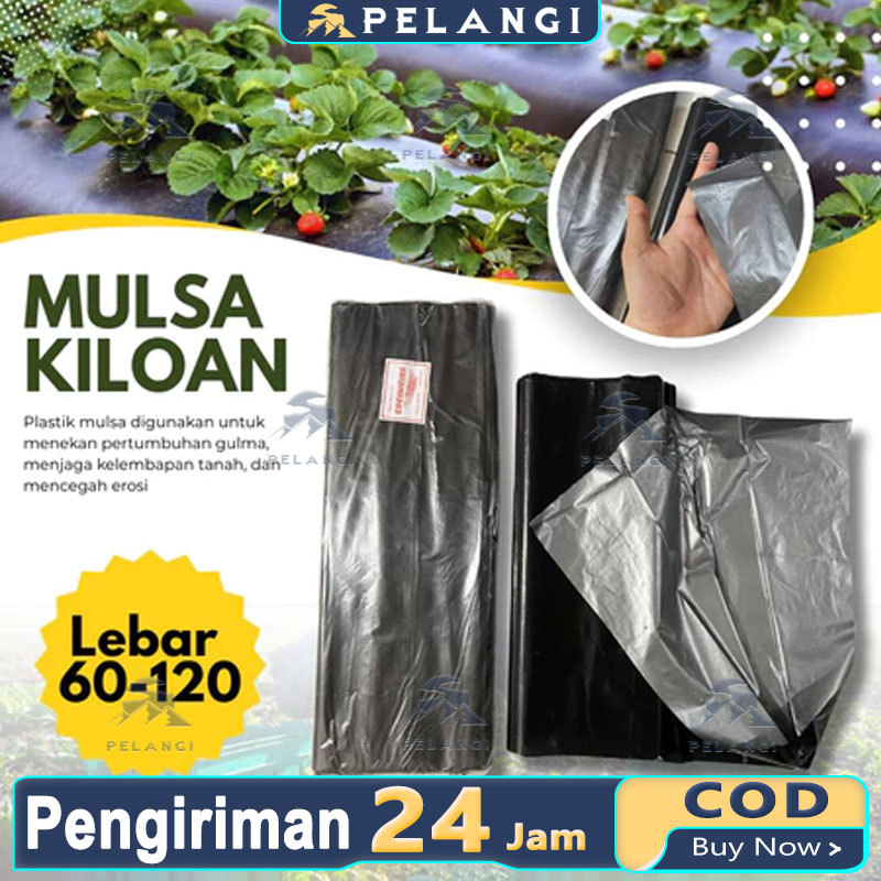 PLASTIK MULSA ( 1 ROLL ) panjang 250 meter * Lebar 120cm (1,2meter)