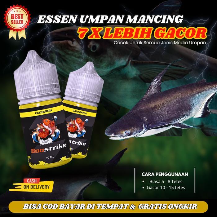 Essen Ikan Patin Umpan Mancing Kolam Harian Lomba Galatama Indukan Babon Paling Jitu - Essen Ikan Pa