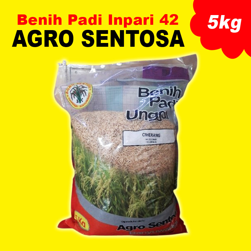 Inpari 42 Agro Sentosa @5kg Premium Quality Exp 10-01-2026