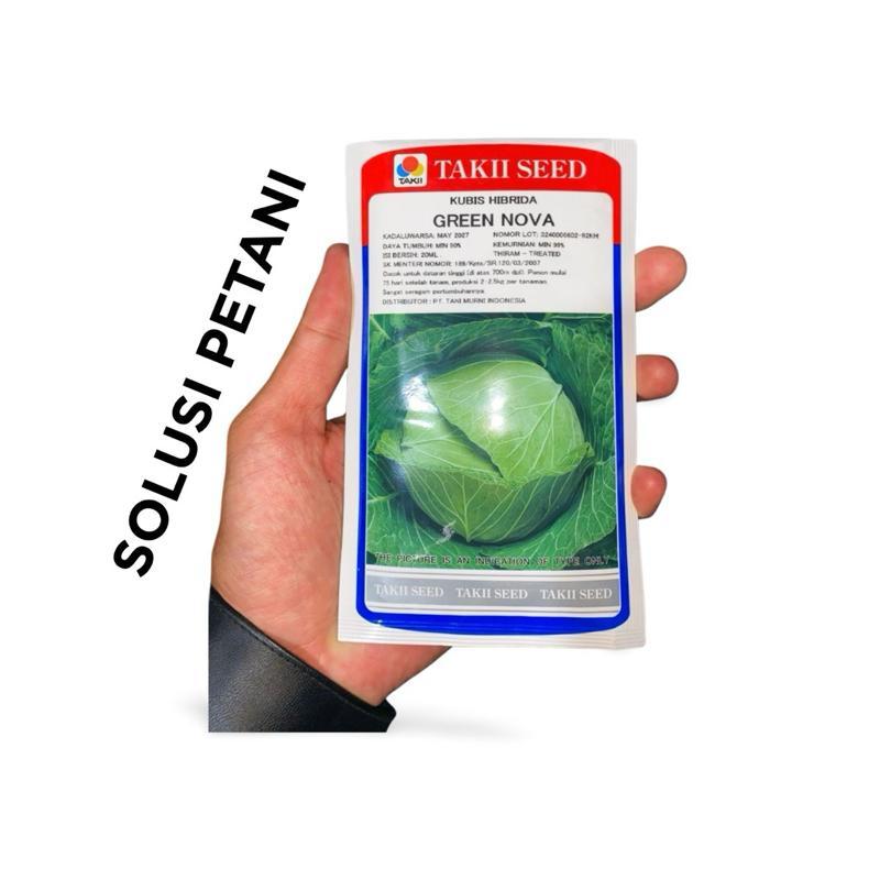 GREEN NOVA BENIH TANAMAN KUBIS HIBRIDA
