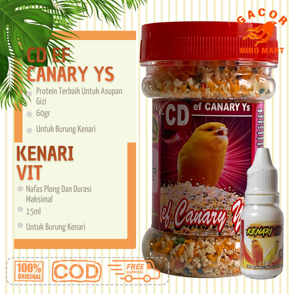 [Paket Hemat] Kenari Roll CD Canary dan Kenari Vit Sehat dan Gacor 100% Original