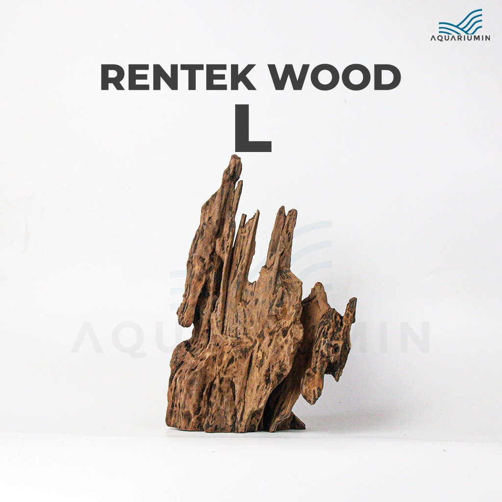 Kayu Rentek / Rentek Wood Size L Aquascape Aquarium