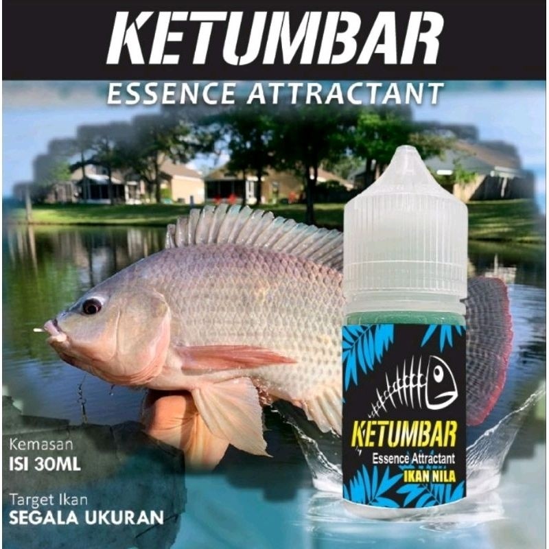 Essen Ketumbar Essen Ikan Nila Babon/Induk -Hh