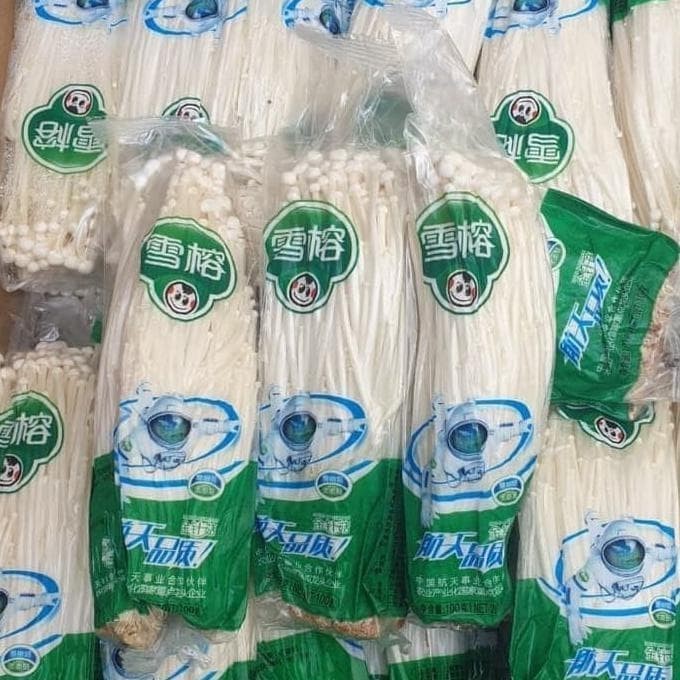 jamur enoki astronot