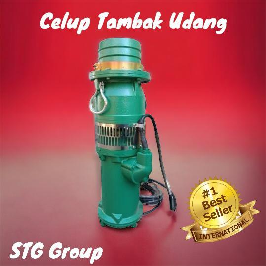 Pompa Air Ikan Koi Pompa Celup Tambak Udang Pompa Submersible 2inch