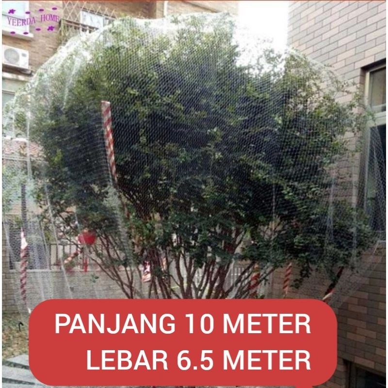 jaring tanaman pohon klengkeng jaring pengaman dari serangan hama kelelawar dan burung jaring buah k