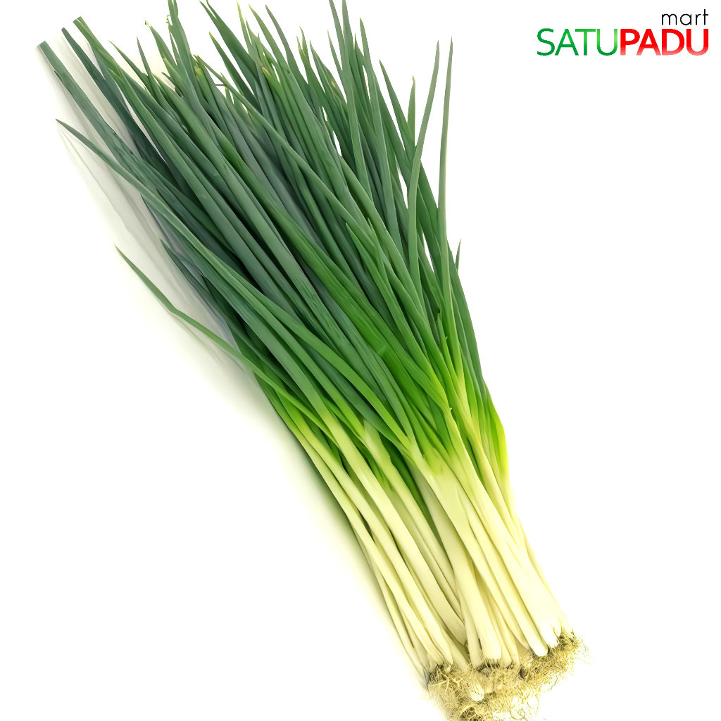 Bawang Daun Bersih