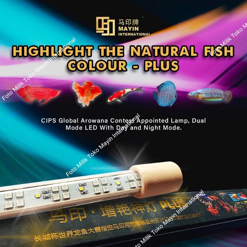 LAMPU VIEW LED MAYIN INTERNASIONAL PLUS Ikan Arowana