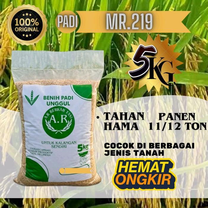 MR 219 BIBIT PADI UNGGUL BENIH PADI BERKUALITAS PREMIUM KEMASAN 5KG .
