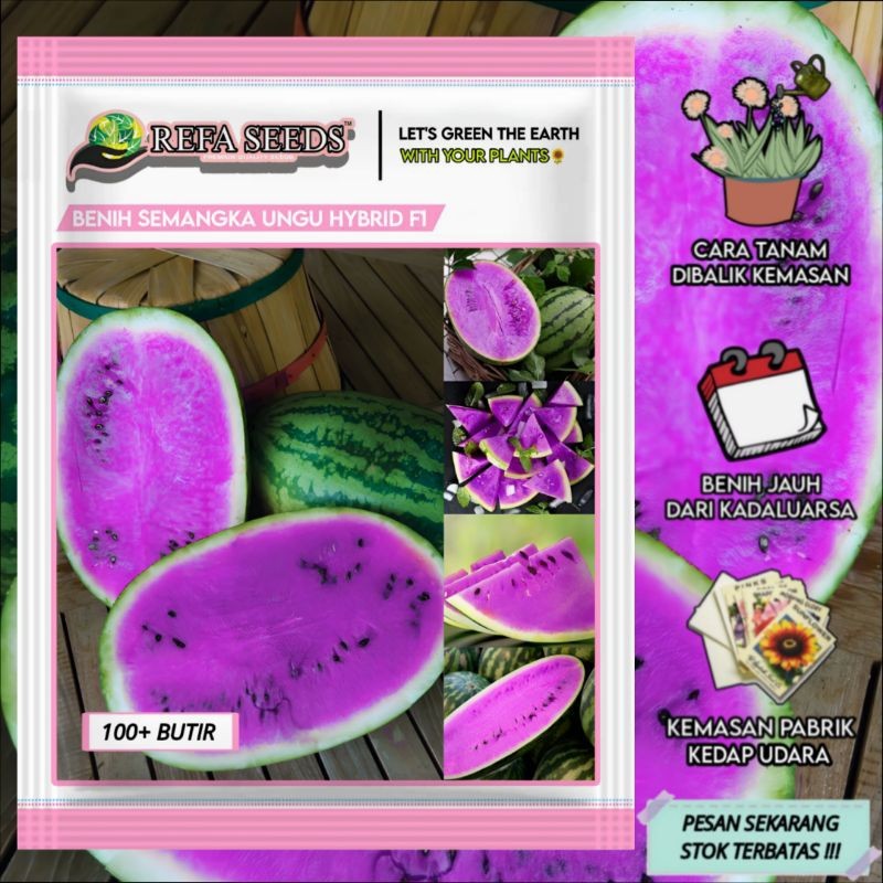Ready1 Pak 100 Biji Benih Buah Semangka Ungu Hybrid F1 Original 100% / benih semangka F1