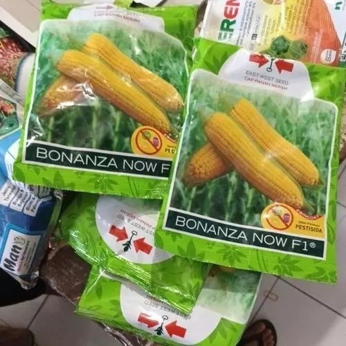 New promo [ ORIGINAL ]  benih/bibit jagung manis BONANZA now f1 isi 1800 butir