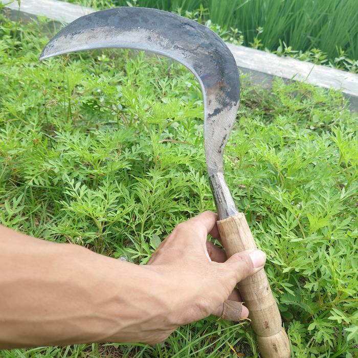 Termurah arit sabit rumput baja pir super tajam produk mbah dono
