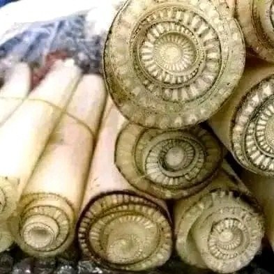 gedebong pisang gedebok