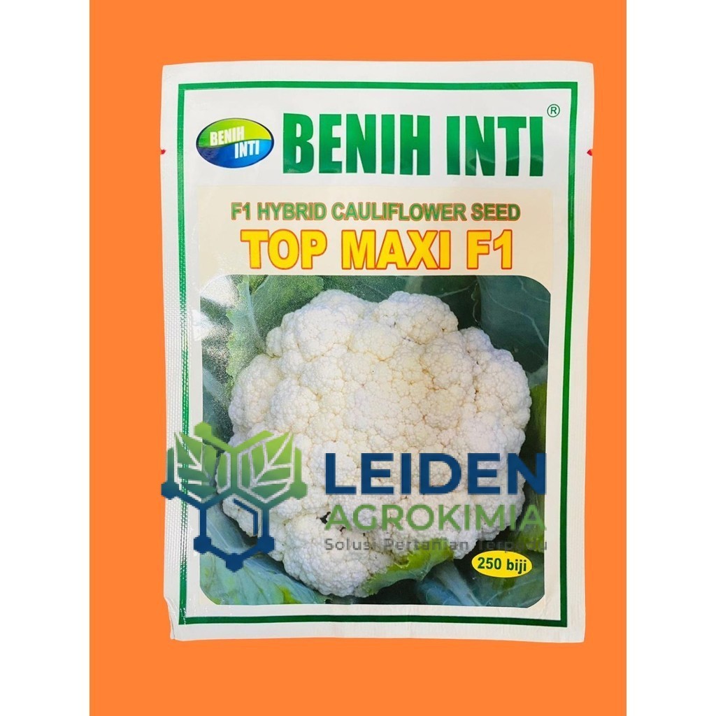 Benih Cauliflower F1 TOP MAXI isi 10gr PT DINASTY INTI AGRO SARANA