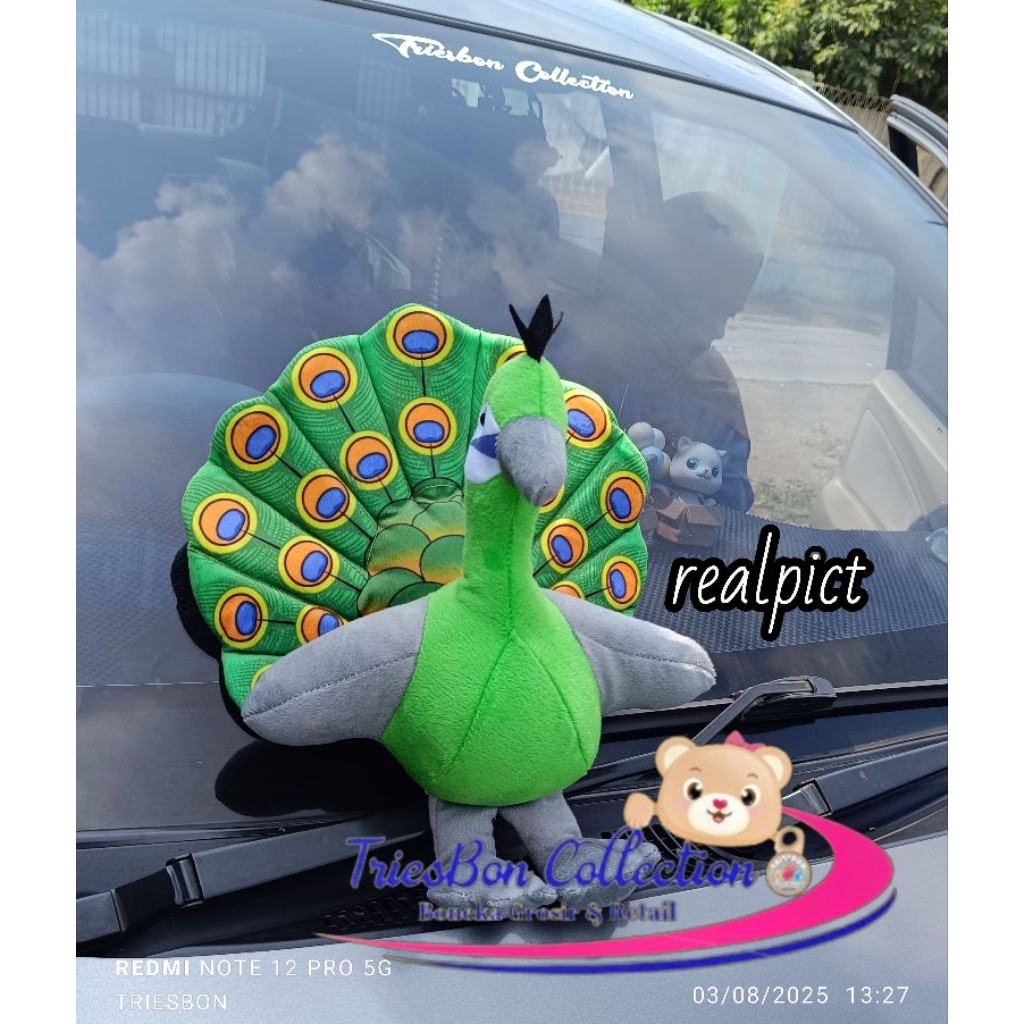 BONEKA BURUNG MERAK PEACOCK LUCU IMUT HARGA MURAH bokobar