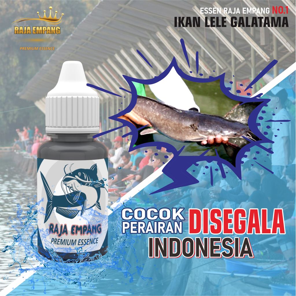 Essen  RAJA EMPANG ikan LELE paling jitu, essen ikan LELE paling gacor, essen ikan LELE essen ikan L