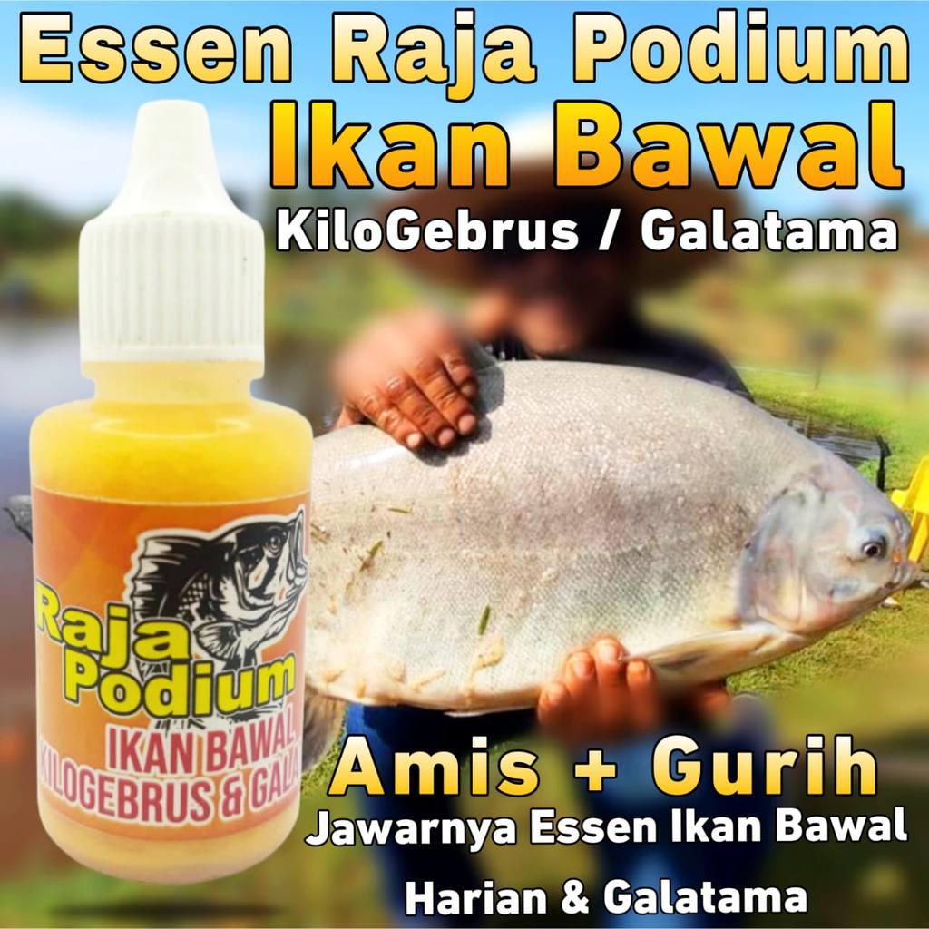 Essen Ikan Bawal Harian KiloGebrus Paling Gacor, Essen Ikan Bawal Media Tempe Paling Ampuh, Essen Ik