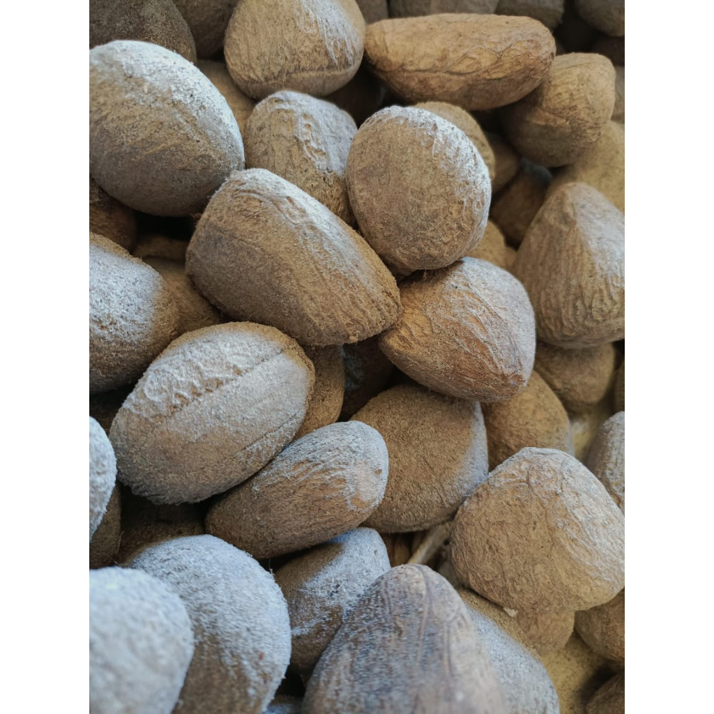 Kluwek Utuh (Kemasan 250 Gr Sd 1000 Gr)