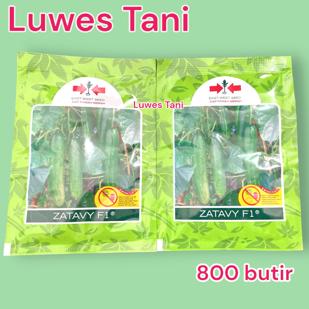 Benih Timun Hibrida Zatavy F1 Panah Merah 800 Butir