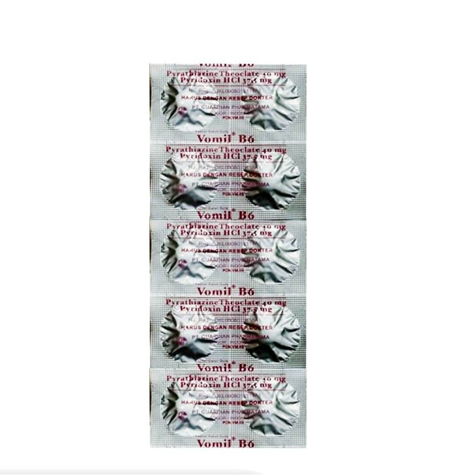 VOMIL B6 1 STRIP @ 10 TABLET SALUT SELAPUT
