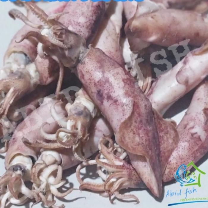 cumi asin telur kiloan | ikan asin | ikan cumi | cumi telur